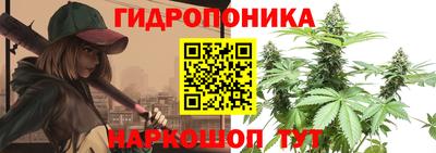 дурь Ликино-Дулёво