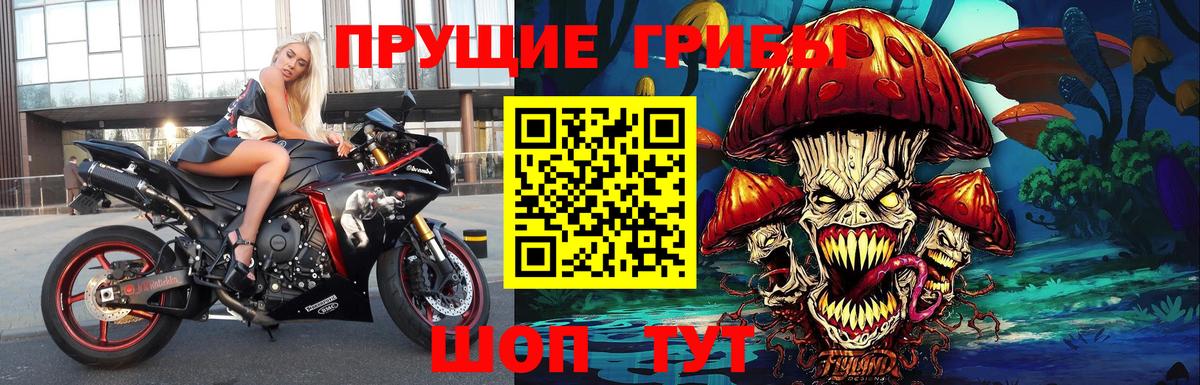 Галлюциногенные грибы Psilocybe  Галлюциногенные грибы мухоморы  Среднеуральск  Вход с VPN 